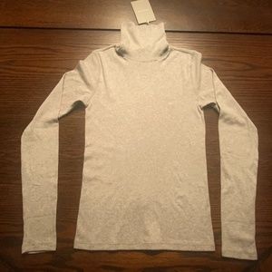 Everlane Micro-Rib Turtleneck